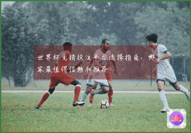 世界杯竞猜投注平台选择指南，哪家最值得信赖和推荐