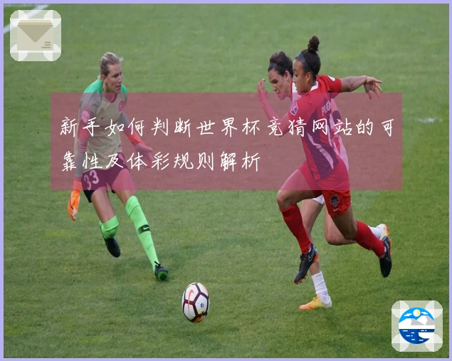 新手如何判断世界杯竞猜网站的可靠性及体彩规则解析