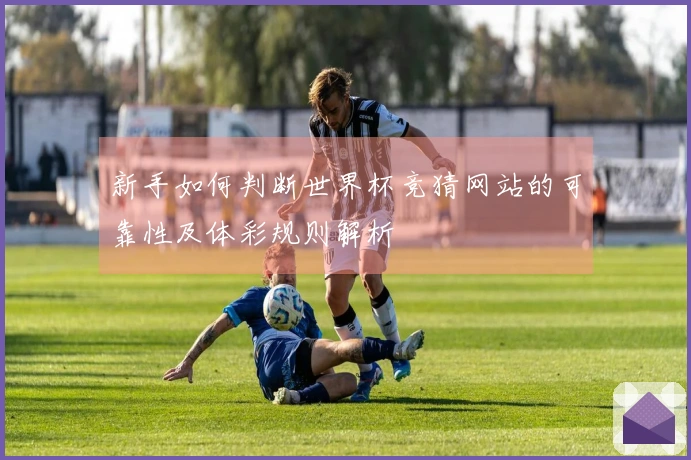 新手如何判断世界杯竞猜网站的可靠性及体彩规则解析