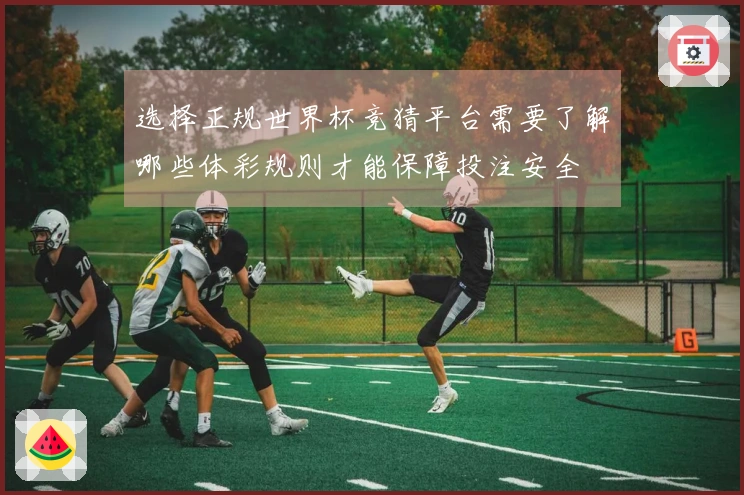选择正规世界杯竞猜平台需要了解哪些体彩规则才能保障投注安全