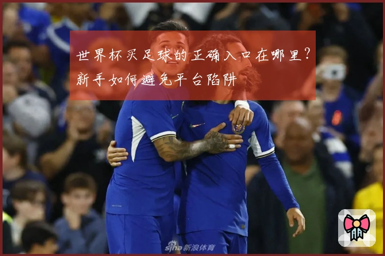 世界杯买足球的正确入口在哪里？新手如何避免平台陷阱