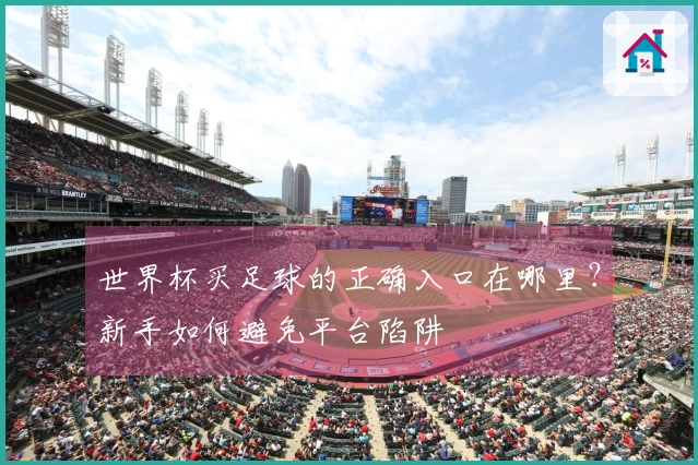 世界杯买足球的正确入口在哪里？新手如何避免平台陷阱